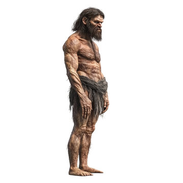 Neanderthal human full-body 3d illustration standing posture prehistoric concept isolated on transparent background.