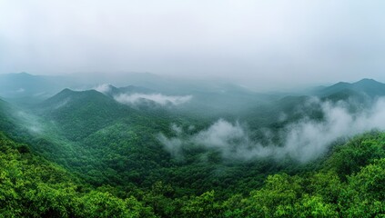 Misty mountain range, lush green forests