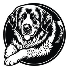 puppy cartoon set. cute spotted white brown dog, funny little animal character playing ball collar bone domestic pet vector illustration