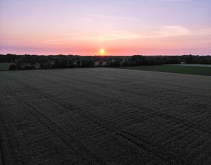 Wide field under a colorful sunset, trees on the horizon at dusk, fields and meadows at sunset in...