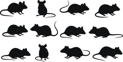 Mouse and rat silhouette vector set, black rodent clipart collection, cartoon style animal icon, pest illustration design graphic