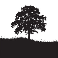 Obraz premium Silhouette of a tree in the field with grass