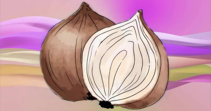 On animation start two onions looping 3D rotation showcasing full surfaces with pastel waves