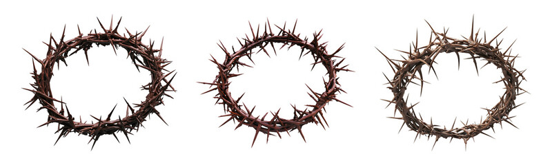 Set of A detailed crown of thorns with sharp spikes intricately intertwined, symbolizing sacrifice and suffering isolated on a transparent background, cut out	