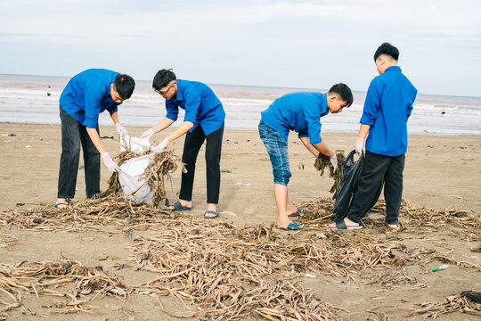 Volunteers clean the beach by removing debris and seaweed while promoting environmental awareness in a coastal area during the daytime