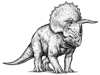 Vintage engraving isolated Triceratops set illustration reptile ink sketch. Dinosaur background silhouette Jurassic art. Black and white hand drawn image
