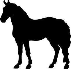 Handdrawn horse silhouette