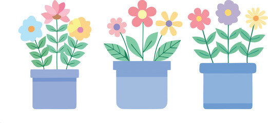 colorful tulips in pots vector illustration