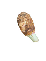 Fresh taro root vegetable with brown fibrous skin and white flesh isolated on white background
