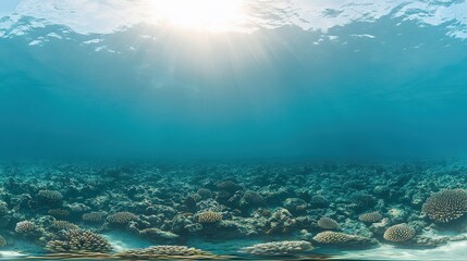 Calm Underwater Coral Seascape With Sunbeams From the Surface
