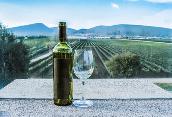 Wine bottle and glass overlooking a vineyard with mountains in the background