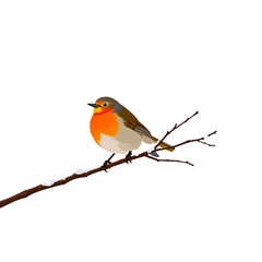 Fototapeta premium Robin Bird On Branch Illustration