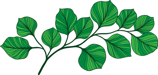 Obraz premium Green tropical leaves illustration