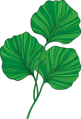 Green tropical leaves illustration
