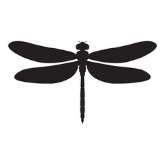 Dragonfly silhouette isolated on a white background
