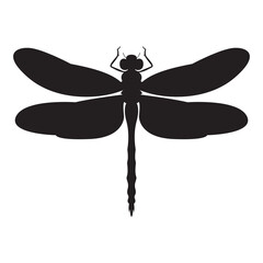 Dragonfly vector illustration. Dragonfly silhouette isolated on a white background