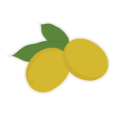 Isolate olive oil sticker, sign, icon and logo for nature beauty and health.