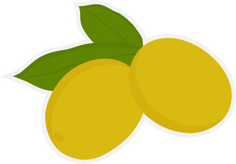 Isolate olive oil sticker, sign, icon and logo for nature beauty and health.
