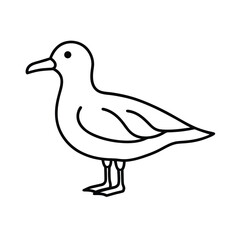 Seagull Outline Illustration – Coastal Bird Summer Line Art Clipart