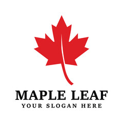Obraz premium Maple leaf logo template vector icon illustration maple leaf vector illustration can