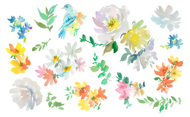 Watercolor Abstract white Peonies, blue bird, Wildflowers, and Leaves PNG Illustration Set / Hand-Painted Floral clipart set with transparent background.