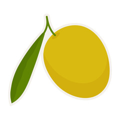 Hand drawn green branch olive template for olive oil products, packaging, food and drink concept.