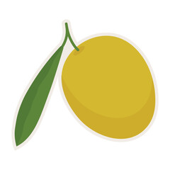 Hand drawn green branch olive template for olive oil products, packaging, food and drink concept.
