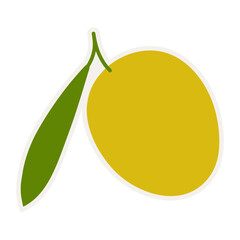 Hand drawn green branch olive template for olive oil products, packaging, food and drink concept.