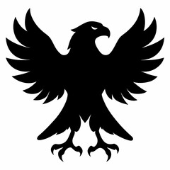 Fototapeta premium Bald eagle flying draw and paint on white background 