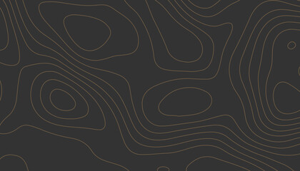 Dark Abstract Topography Lines