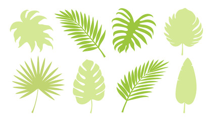 Set of colourful tropical palm leaves vector © Creative vector