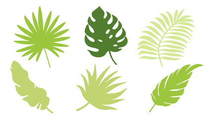 Set of colourful tropical palm leaves vector © Creative vector