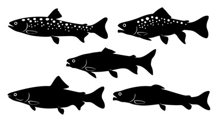 Set of modern illustration of fish