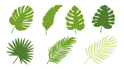 Set of colourful tropical palm leaves vector © Creative vector