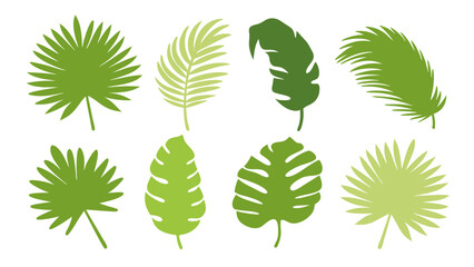 Set of colourful tropical palm leaves vector