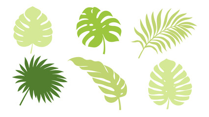Set of colourful tropical palm leaves vector © Creative vector