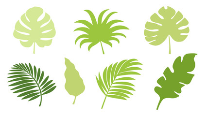 Set of colourful tropical palm leaves vector © Creative vector