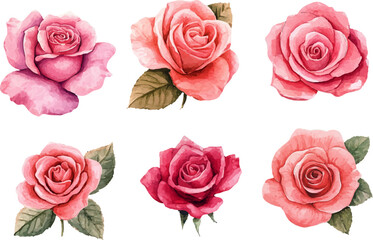 Fototapeta premium set of pink roses