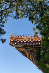 Ridge beasts decoration of the Forbidden City