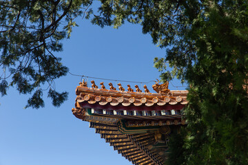 Ridge beasts decoration of the Forbidden City