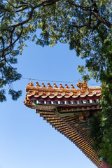 Ridge beasts decoration of the Forbidden City