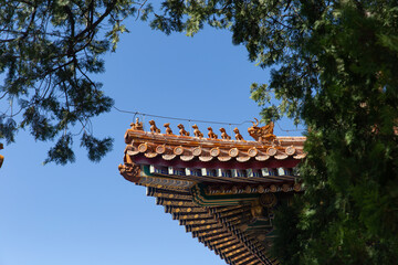Ridge beasts decoration of the Forbidden City