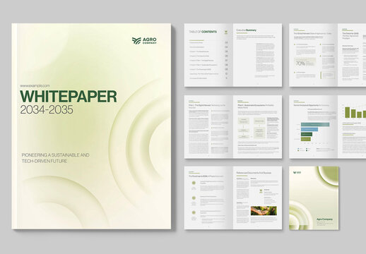 Whitepaper Template for Company Reports, One Page Factsheets & Executive Summary Document Layouts