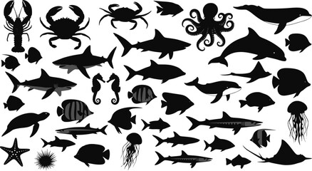 Naklejka premium Collection of fish silhouette. Collection of fish vector silhouette. EPS 10 version. 