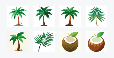 Obraz premium Illustrations of palm trees and coconuts on white background