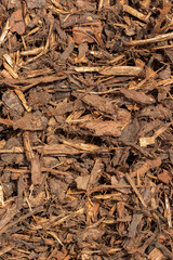 Close-up of bark mulch chippings background backdrop. Used by gardeners for weed control and protecting plant roots from frost.
