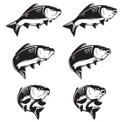 vector set of fish