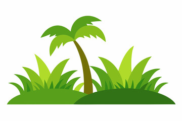 palm tree vector illustration