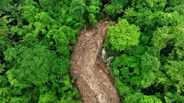 Aerial drone view of a landslide caused by extreme weather, showing displaced soil and debris cutting through lush forest, highlighting the destructive power of heavy storms on vulnerable slopes. 
