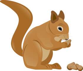 Illustration of a Squirrel Eating Almond Nuts